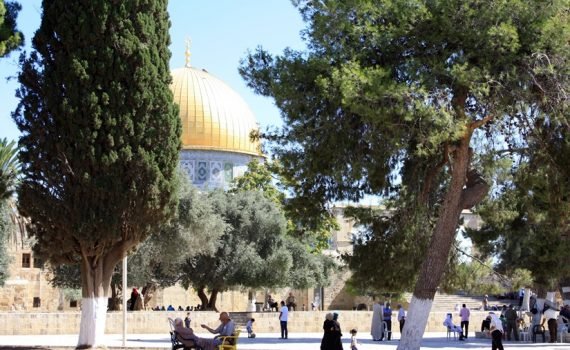 Ciudad vieja de Jerusalén, Israel - El lugar donde se creó el mundo