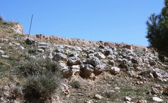 Ercávica, España - La romanización de Hispania