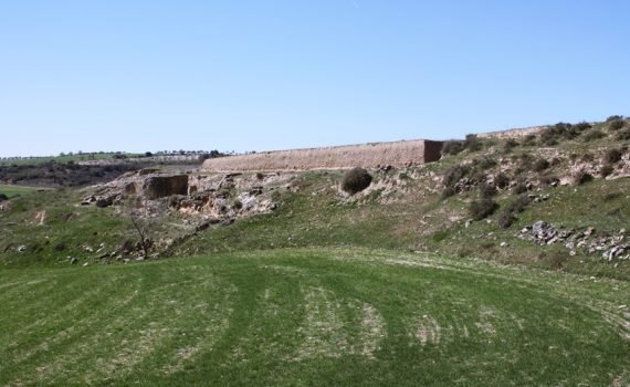 Ercávica, España - La romanización de Hispania