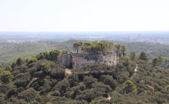 Abadía de Saint-Roman