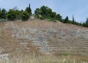 Argos