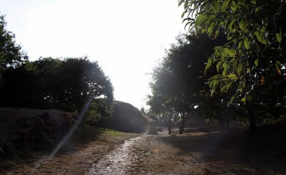 castro de Viladonga