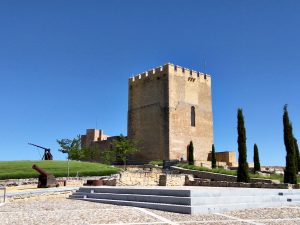 Fortaleza de la mota