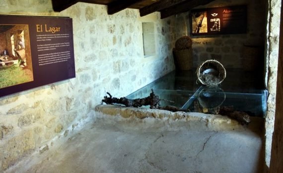 Fortaleza de la mota