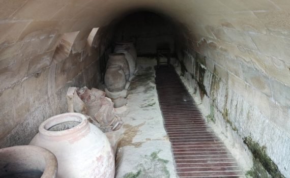 Fortaleza de la mota