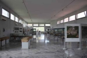 Nemea