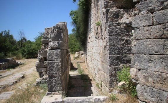 Salona